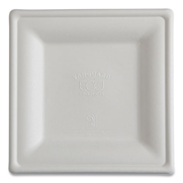 Picture of Vanguard Renewable and Compostable Sugarcane Plates, 10 x 10, White, 250/Carton