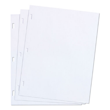 Picture of Ledger Sheets For Corporation And Minute Book, 11 X 8.5, White, Loose Sheet, 100/box