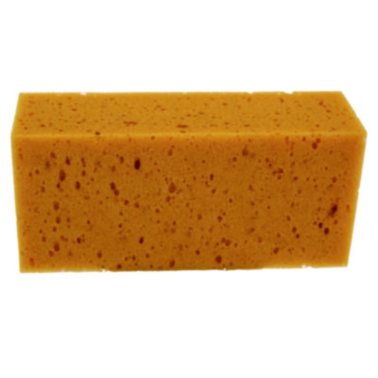 Picture of SPONGE,THE SPONGE,YL