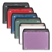 Picture of FILE, ZIPPER, 7PK EXP,AST