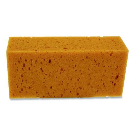 Picture of SPONGE,THE SPONGE,YL