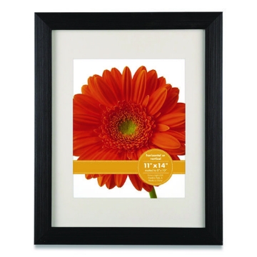 Picture of FRAME,11"X14",PSTER,DCMNT